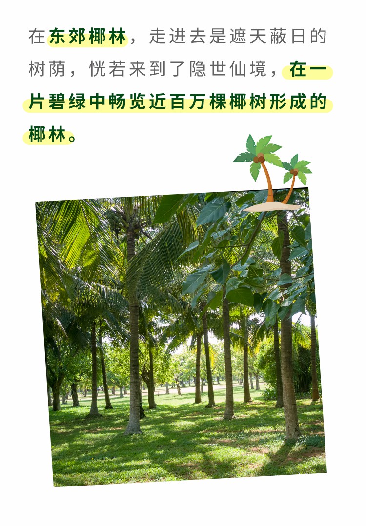 春節(jié)假期房車游攻略！3大黃金路線看完就出發(fā)（一）