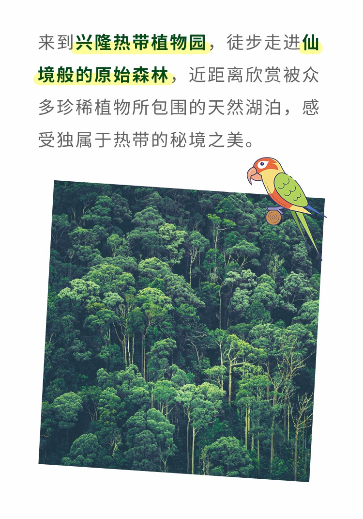 春節(jié)假期房車游攻略！3大黃金路線看完就出發(fā)（一）